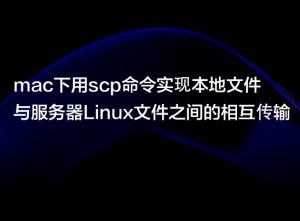 Linux | 用scp命令实现本地文件与服务器Linux文件之间的相互传输-VUM星球