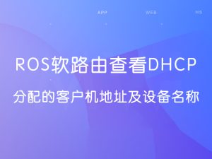 ROS | ROS软路由查看DHCP分配的客户机地址及设备名称-VUM星球