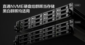 直通NVME硬盘给群晖当存储，黑白群晖均适用-VUM星球
