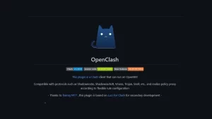 开启OpenClash后，IPV6就失效？大家会忽略的一个小细节。-VUM星球