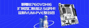 精粤B760VDH16扩展四口螃蟹2.5G网卡定制VUM-PVE整合包-VUM星球