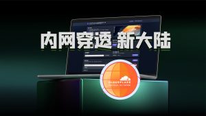 极简内网穿透 新大陆 秒杀所有，还自带证书无端口，配置小工具已经帮你做好了-VUM星球