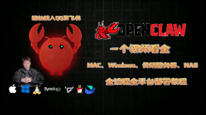 一个视频看全，巨饱和全平台养“龙虾”OpenClaw手把手本地MAC/Windows、云端服务器、NAS的群晖飞牛超细节安装教程及接入飞书QQ-VUM星球